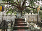 Ridi Vihara