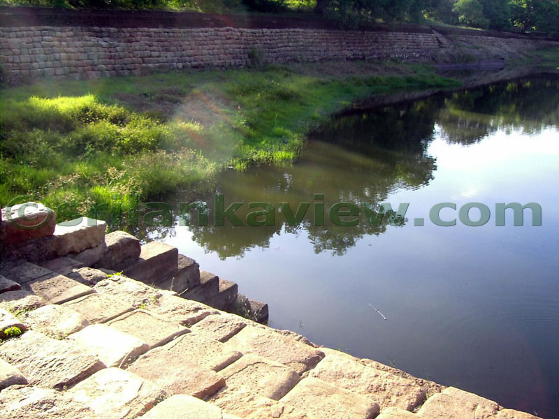 There is a natural rock bodering the pond wall.