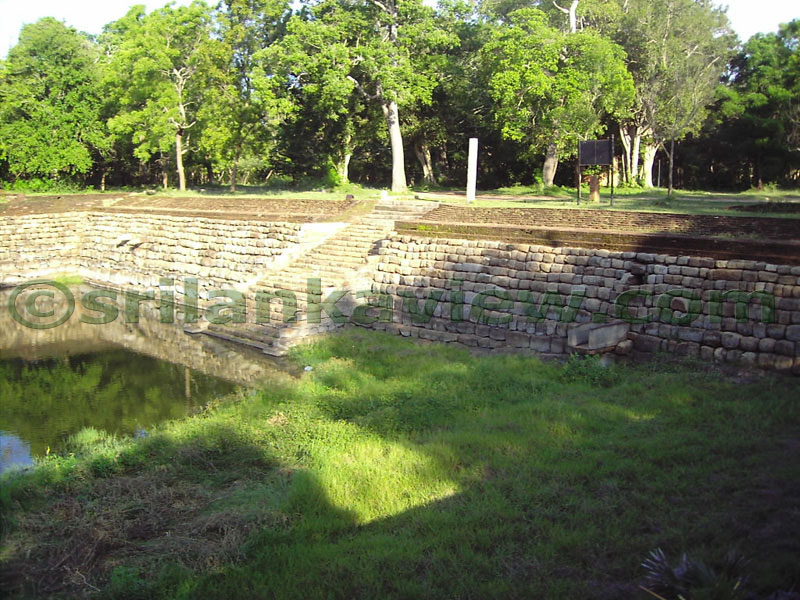 Abundance of greenery surrounds the pond area.