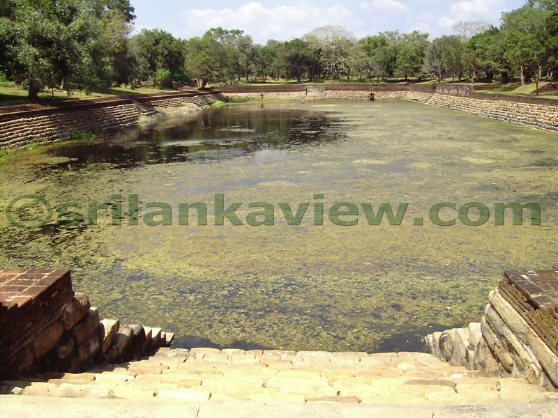 Half filled pond is seen here.