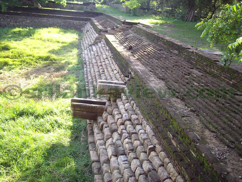 The inside details of the pond.