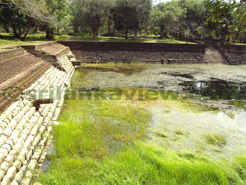 There are many water inlets to the pond as seen here.