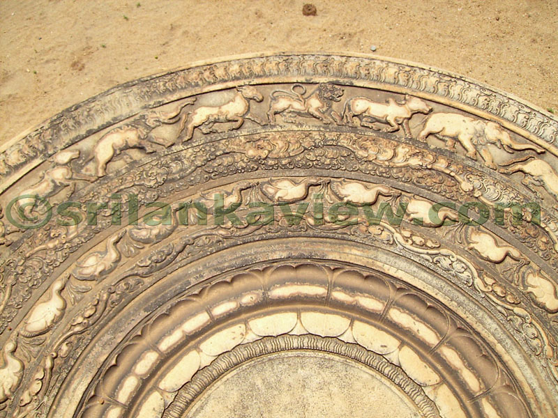 The Moonstone at the entrance of Bisomaligaya or the Queen's Palace. Centre is a half of Lotus,then a half circle of a line of foliage.then a half circle of a line of geese carrying a bud of flower.Then another foliage pattern and the outer half circle has elephants, horses, lions and bulls.