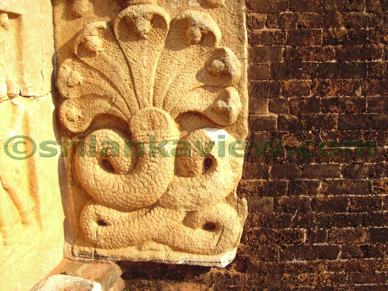 Detailed view of Seven hooded Cobra sculptured in a Naga Stone, Jethavana Stupa