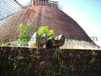 jethavana Stupa