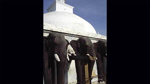 Ruwanweliseya Stupa Elephant Wall 