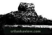 Srilankaview logo