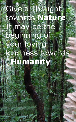 Save the Nature Logo Collection and Quotes- SriLankaView Save the Nature Logo Collection and Quotes- SriLankaView