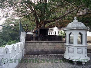  View from Rock Temple terrace
