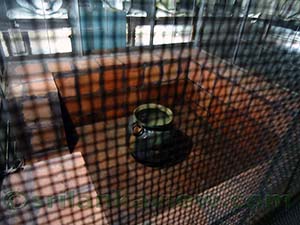 Cave # 2 Maharaja Lena - The cave of Great Kings
