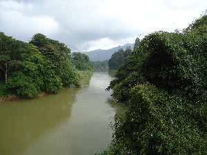 Mahaweli River Banks, Peradeniya , Kandy