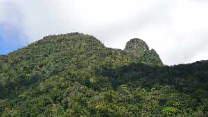 Phoenix Rock Area, Knuckles Range
