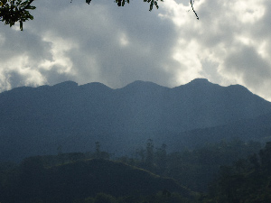 Knuckles Peaks , Knuckles Mountain Range