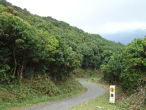 Riverston, Knuckles Range