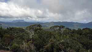 Moulawella View Point, Sinharaja Rain Forest
