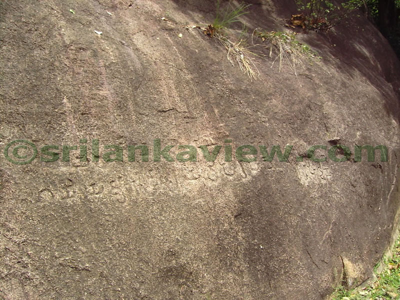 Inscriptions belonging to 6th Century AD at Hattikuchchi Viharaya.