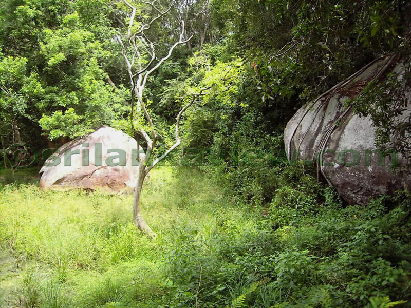 Rock Boulders in the Pond area.