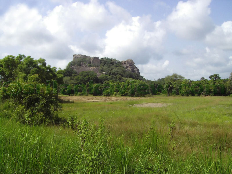 One of the Rocks seen on the way to Hattikuchchi from Girbawa 
