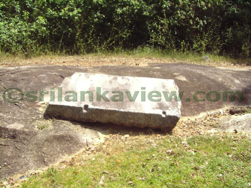 Stone Slab found on the rock.