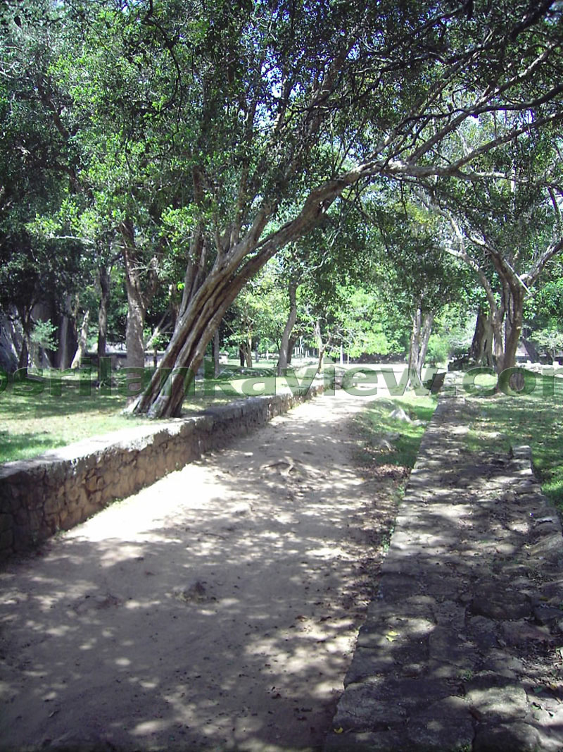 The Path leading to the Monastary remains.