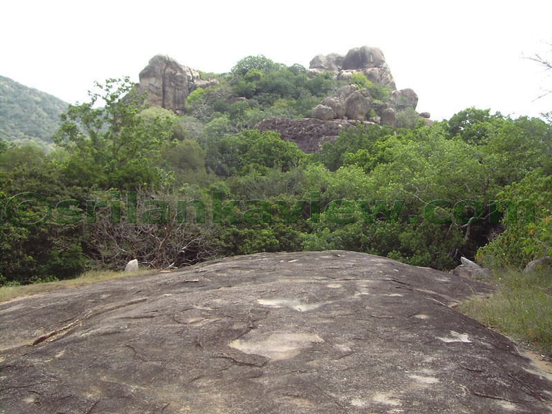 A View from a upper area of the rock.