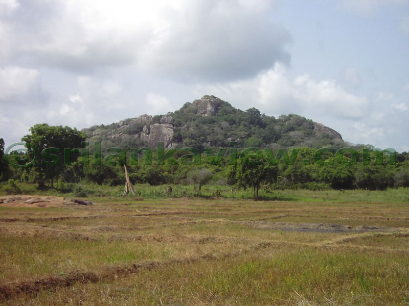 Close view of the Rocky mountain. Hattikuchchi Viharaya