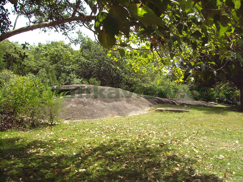 The Rock surface near the pathway.