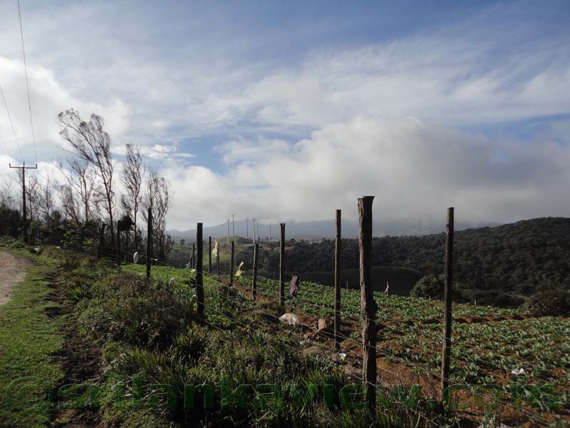 Horton Plains National Park and vicinity