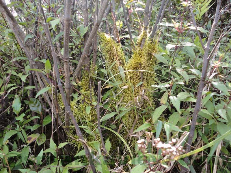 Horton Plains National Park and vicinity