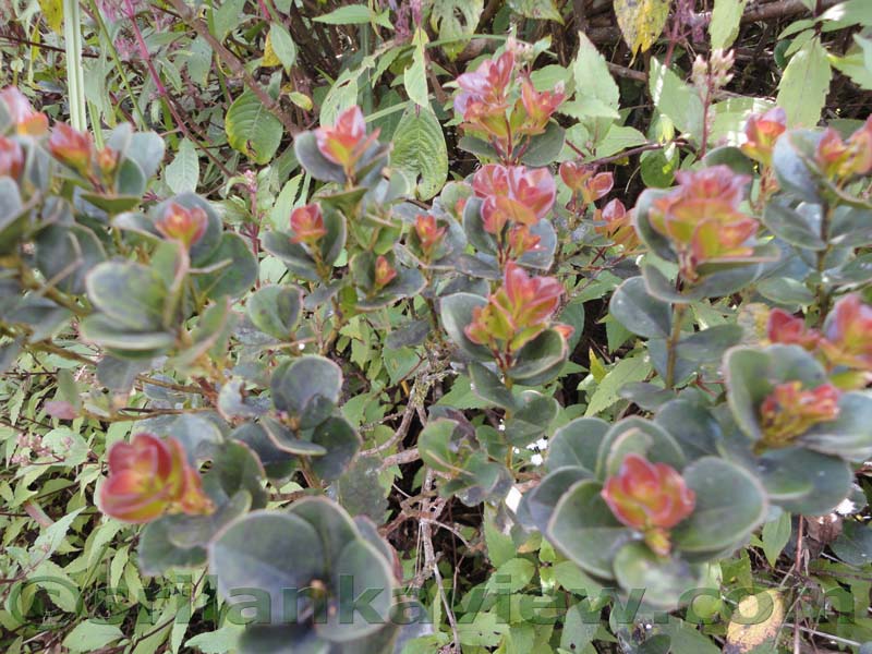 Horton Plains National Park and vicinity
