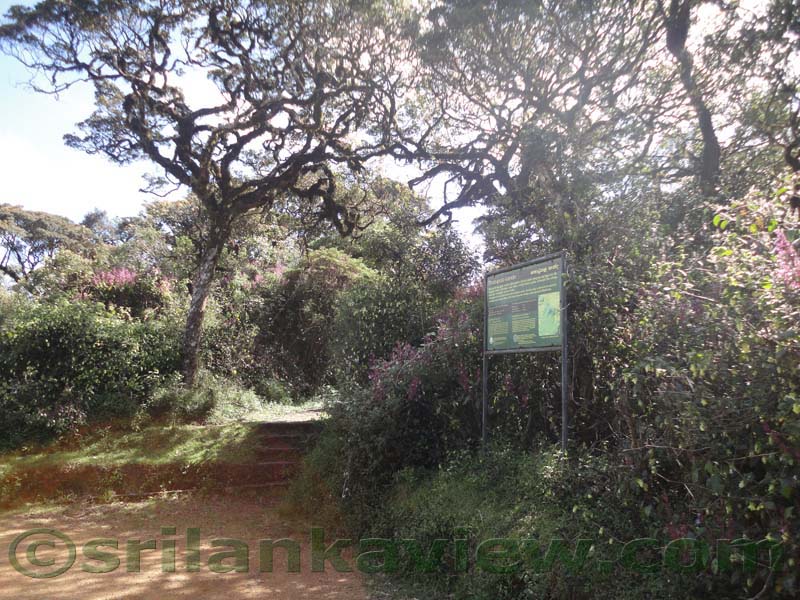 Horton Plains National Park and vicinity