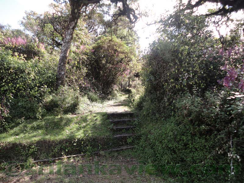 Horton Plains National Park and vicinity