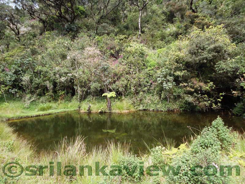 Horton Plains National Park and vicinity