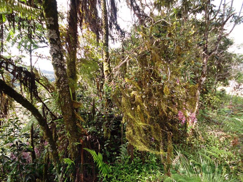 Horton Plains National Park and vicinity