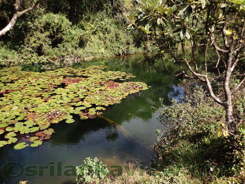 Horton Plains National Park and vicinity