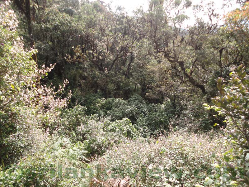 Horton Plains National Park and vicinity