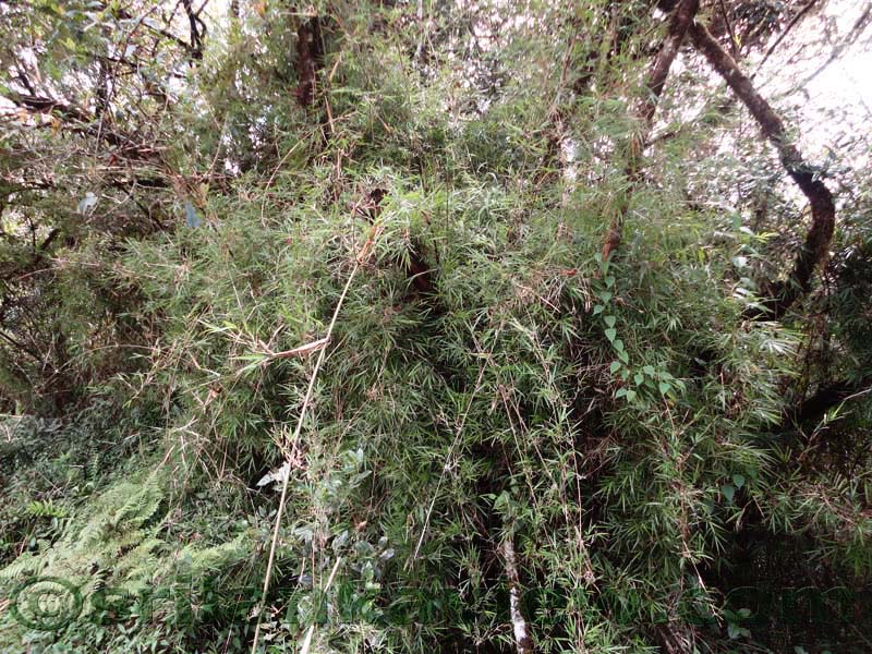 Horton Plains National Park and vicinity