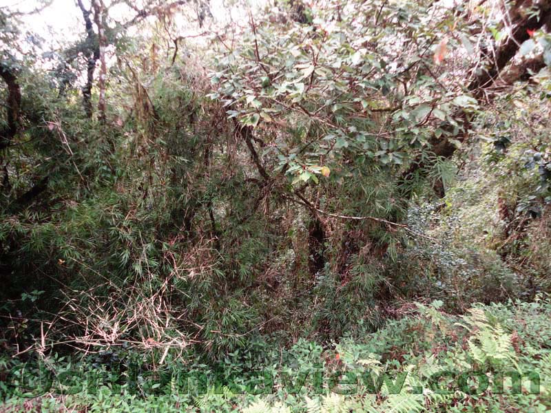 Horton Plains National Park and vicinity