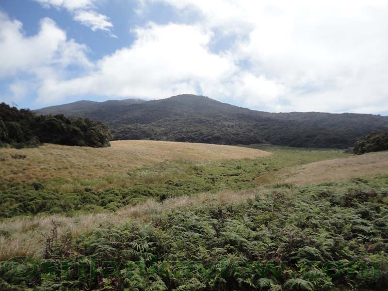 Horton Plains National Park and vicinity