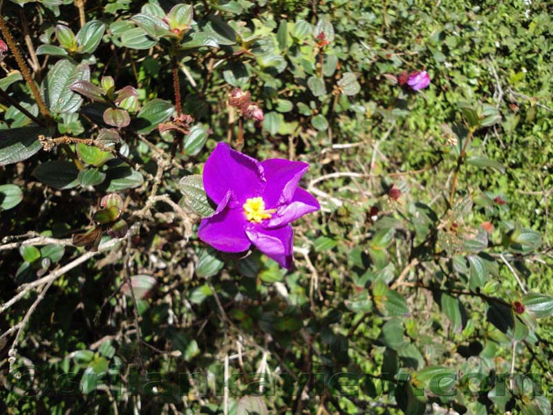 Horton Plains National Park and vicinity