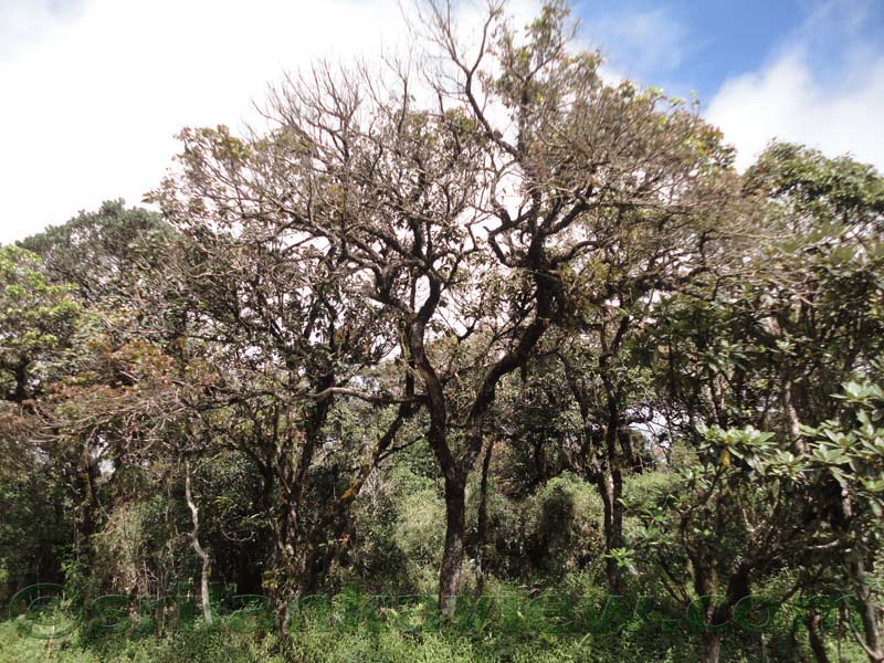 Horton Plains National Park and vicinity
