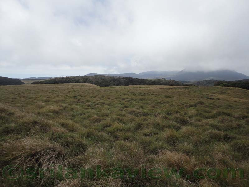 Horton Plains National Park and vicinity