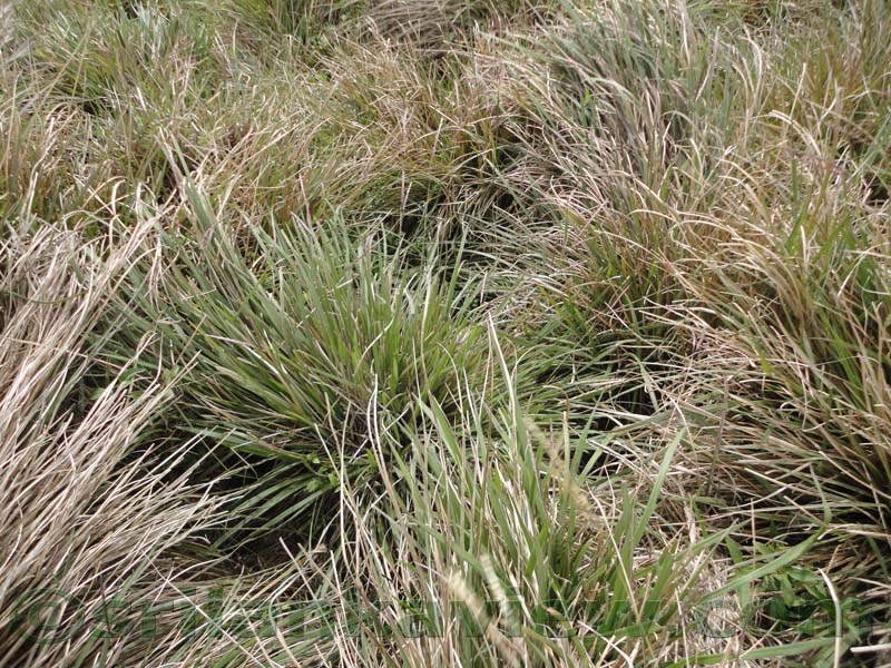 Horton Plains National Park and vicinity
