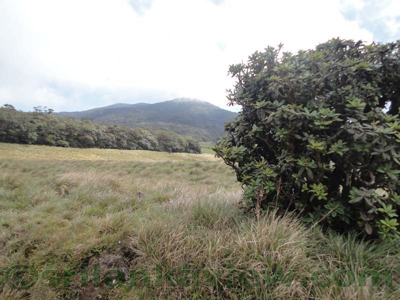 Horton Plains National Park and vicinity