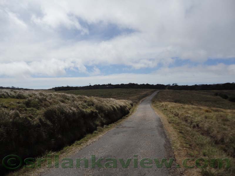 Horton Plains National Park and vicinity