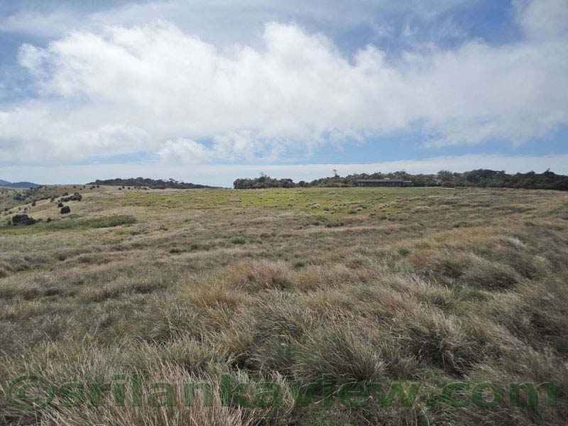 Horton Plains National Park and vicinity