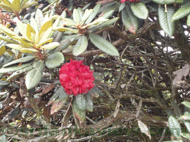 Horton Plains National Park and vicinity