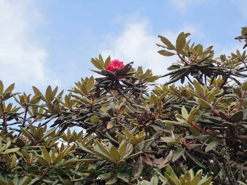 Horton Plains National Park and vicinity