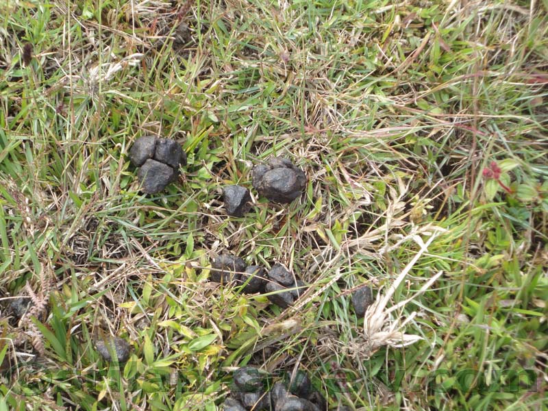 Horton Plains National Park and vicinity