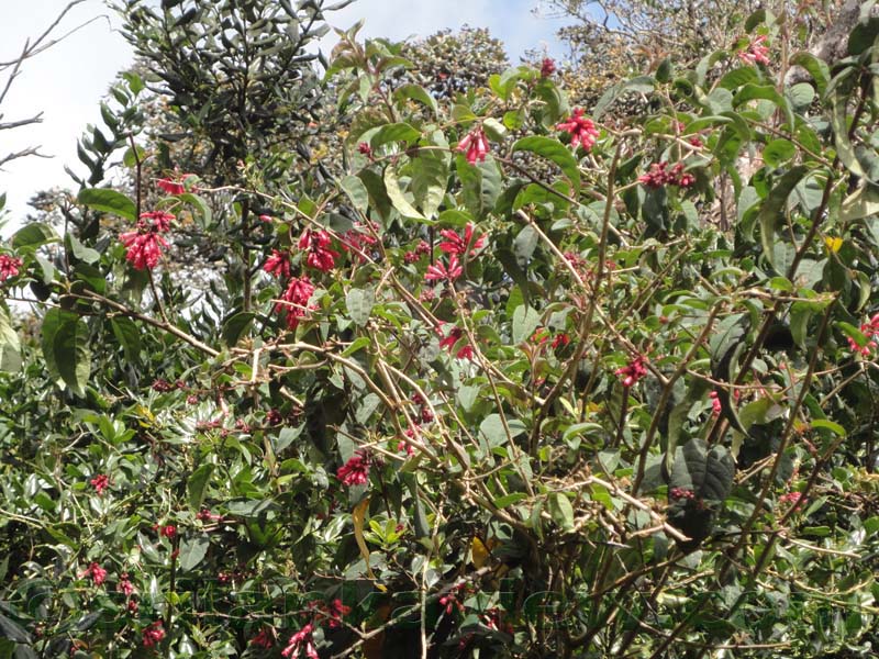 Horton Plains National Park and vicinity